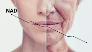 NAD+ What It Is and Why It Might Be the Key to a Longer Life